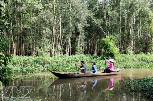 Gao Giong eco-tourism area in Dong Thap province   - ảnh 2